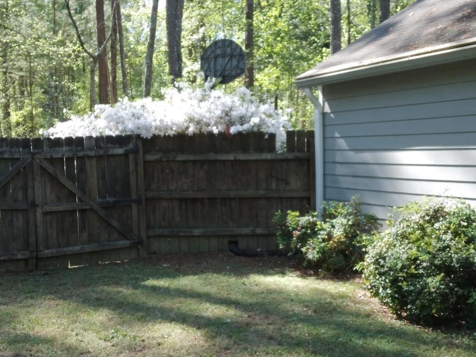 3319 Stewart Lake Road Monroe, GA 30655 - Photo 20 of 25