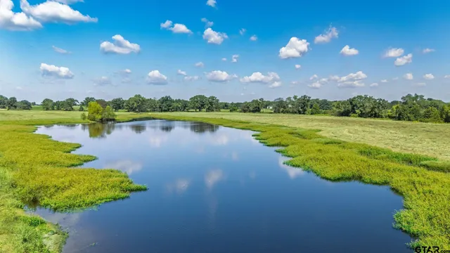 a view of a lake in a city
