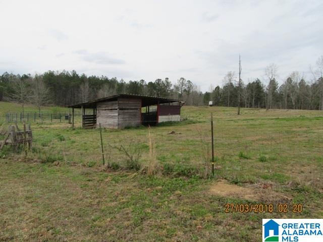 455 Francis Mill Road Ohatchee, AL 36271 - Photo 43 of 49