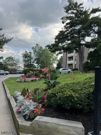 a view of a wooden house with a yard and potted plants