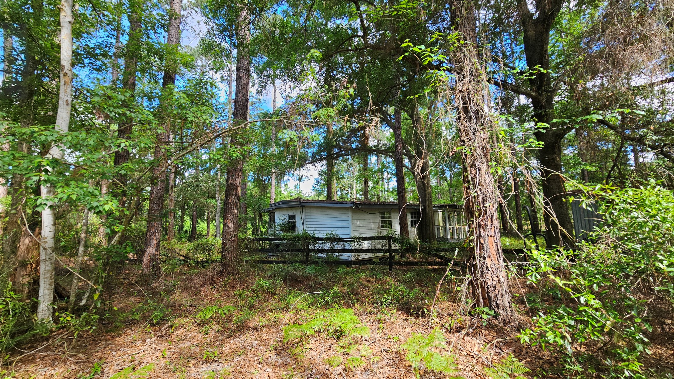 6324 Lannie Road Jacksonville, FL 32218 - Photo 12 of 60