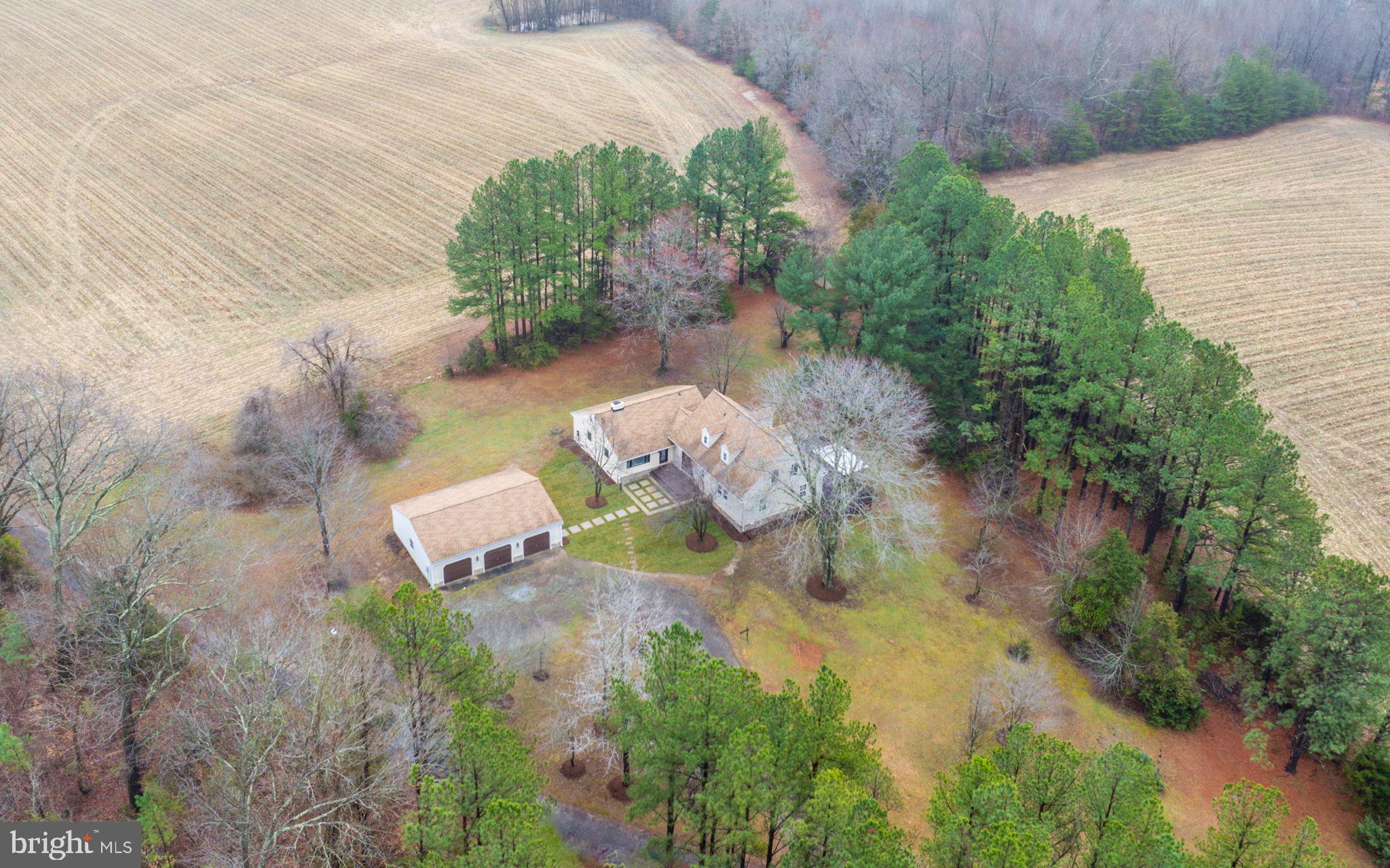 16419 Countyline Church Road Ruther Glen, VA 22546 - Photo 43 of 58