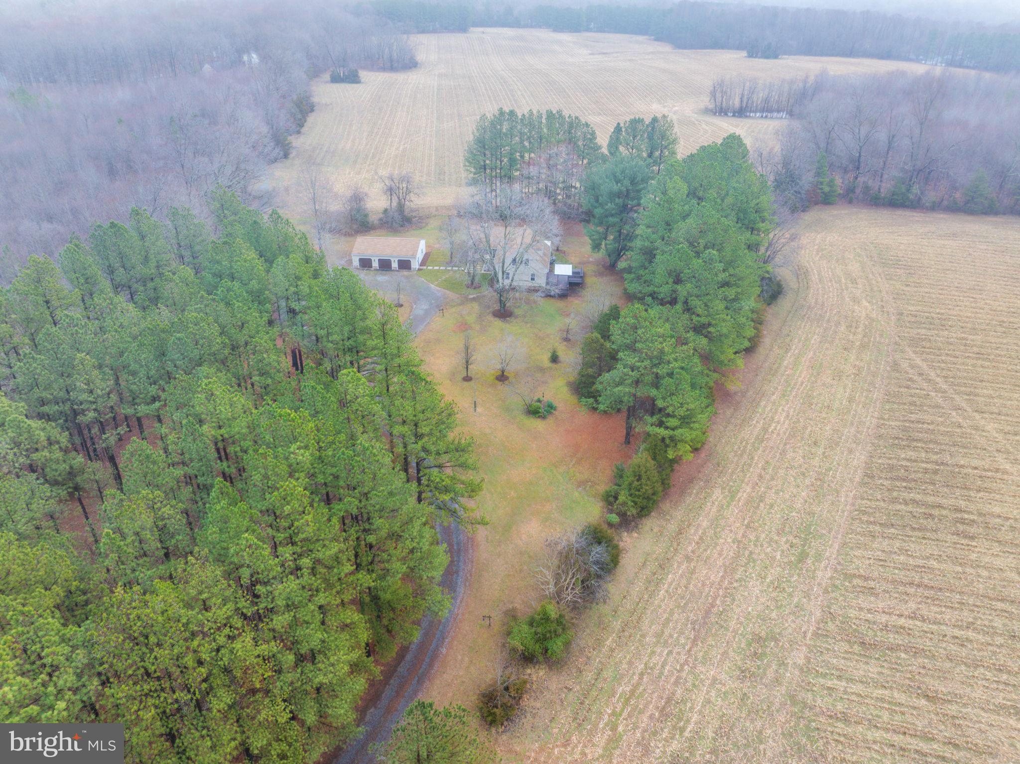 16419 Countyline Church Road Ruther Glen, VA 22546 - Photo 48 of 58