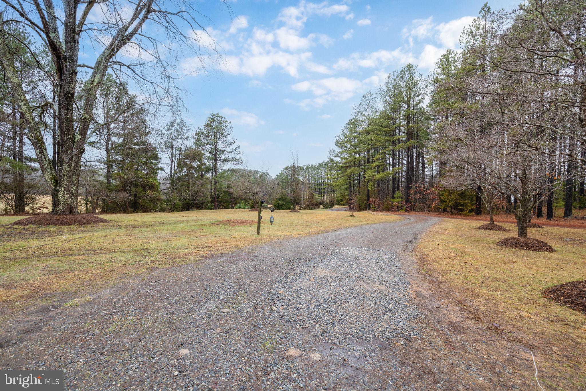 16419 Countyline Church Road Ruther Glen, VA 22546 - Photo 49 of 58