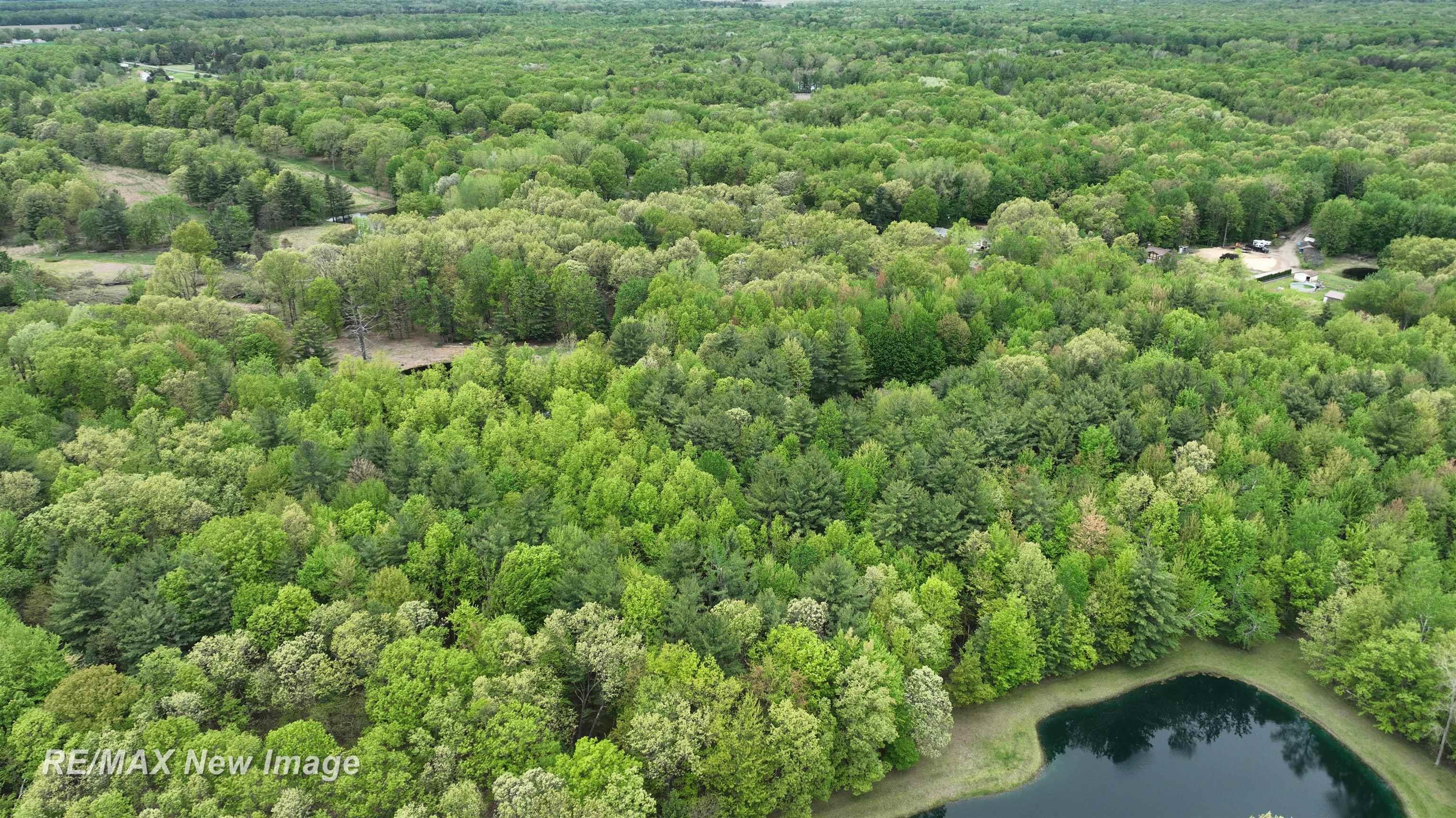 12000 West Townline Road St. Charles, MI 48655 - Photo 6 of 10