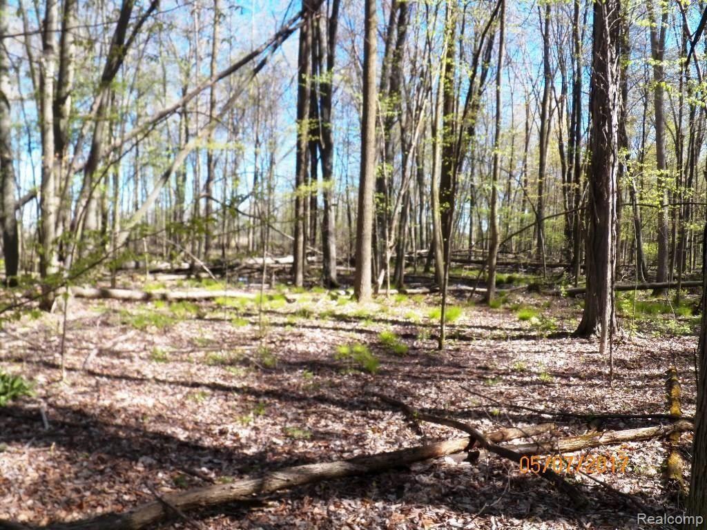 0 Connell Road Emmett, MI 48022 - Photo 9 of 16