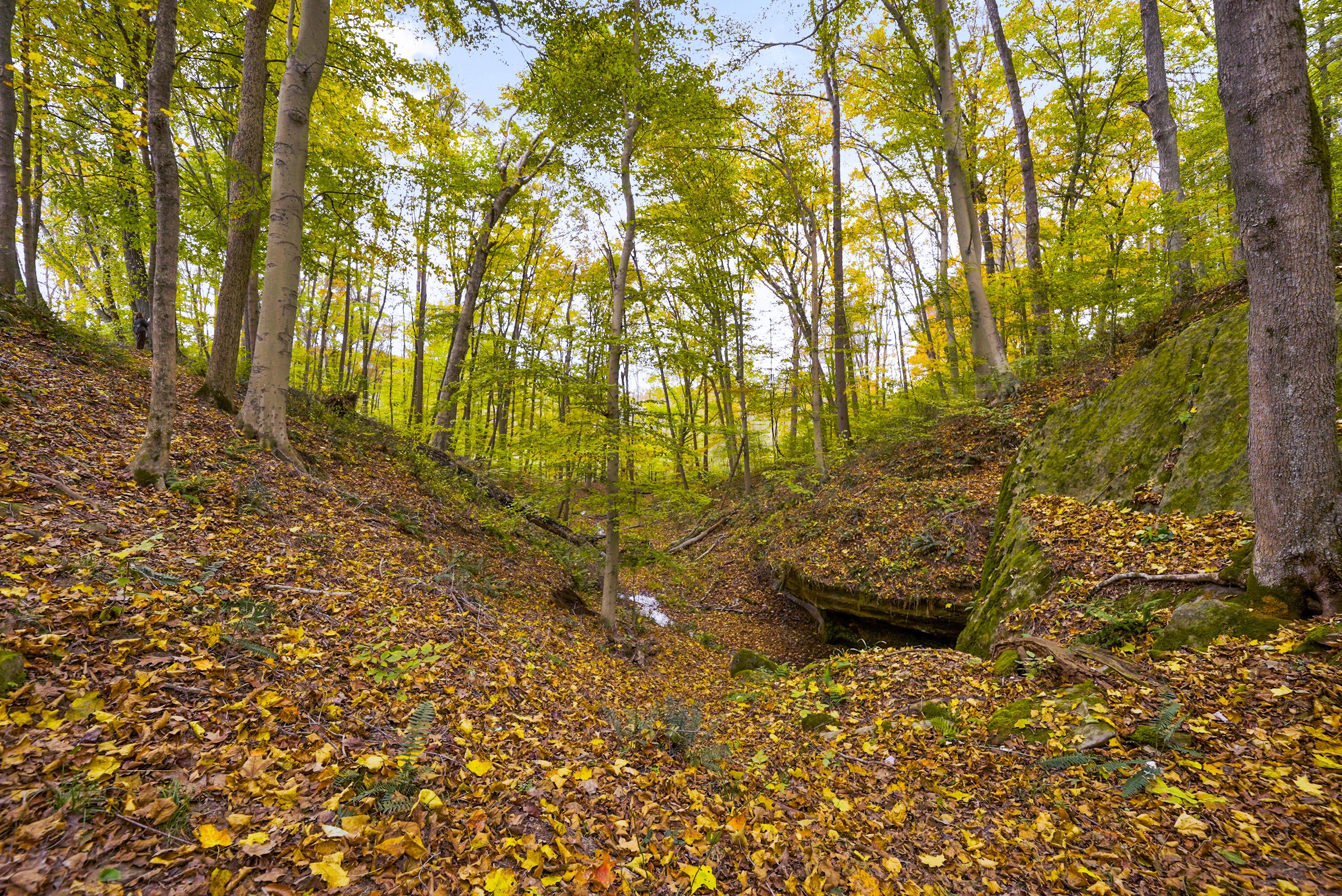 28132 Dupler Road Logan, OH 43138 - Photo 125 of 130 162-print-DSC08857