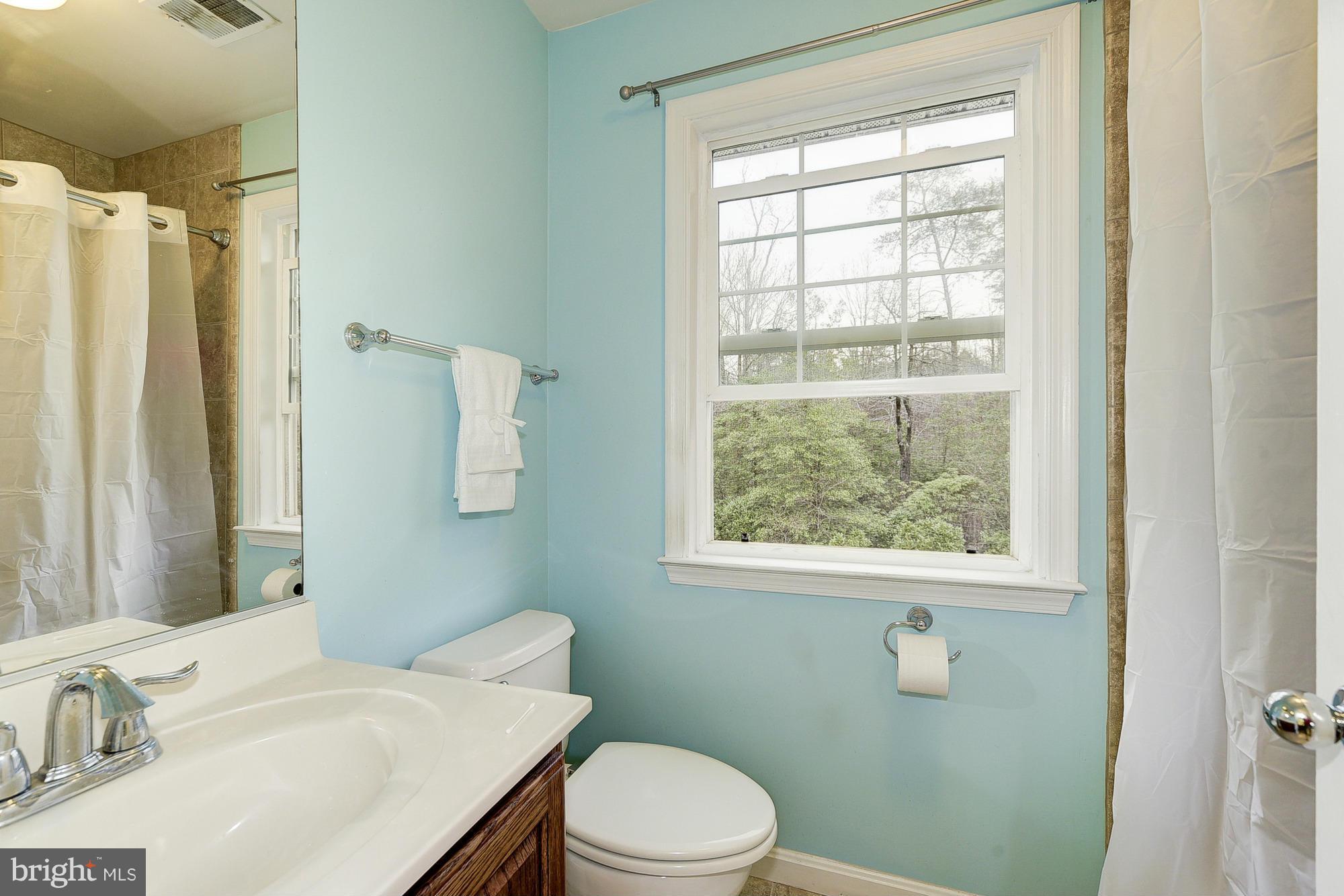 11204 Snowden Pond Road Laurel, MD 20708 - Photo 22 of 30 a bathroom with a sink toilet and window