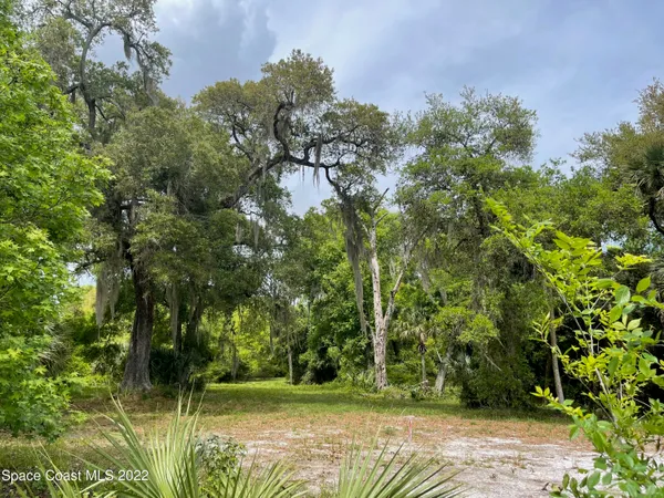 a view of backyard with green space