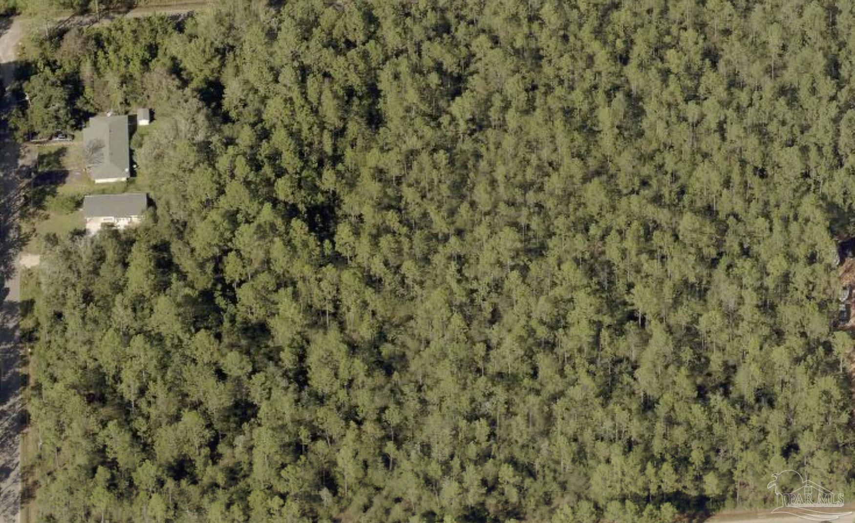 34th Avenue Milton, FL 32583 - Photo 3 of 3 a close up of a plant