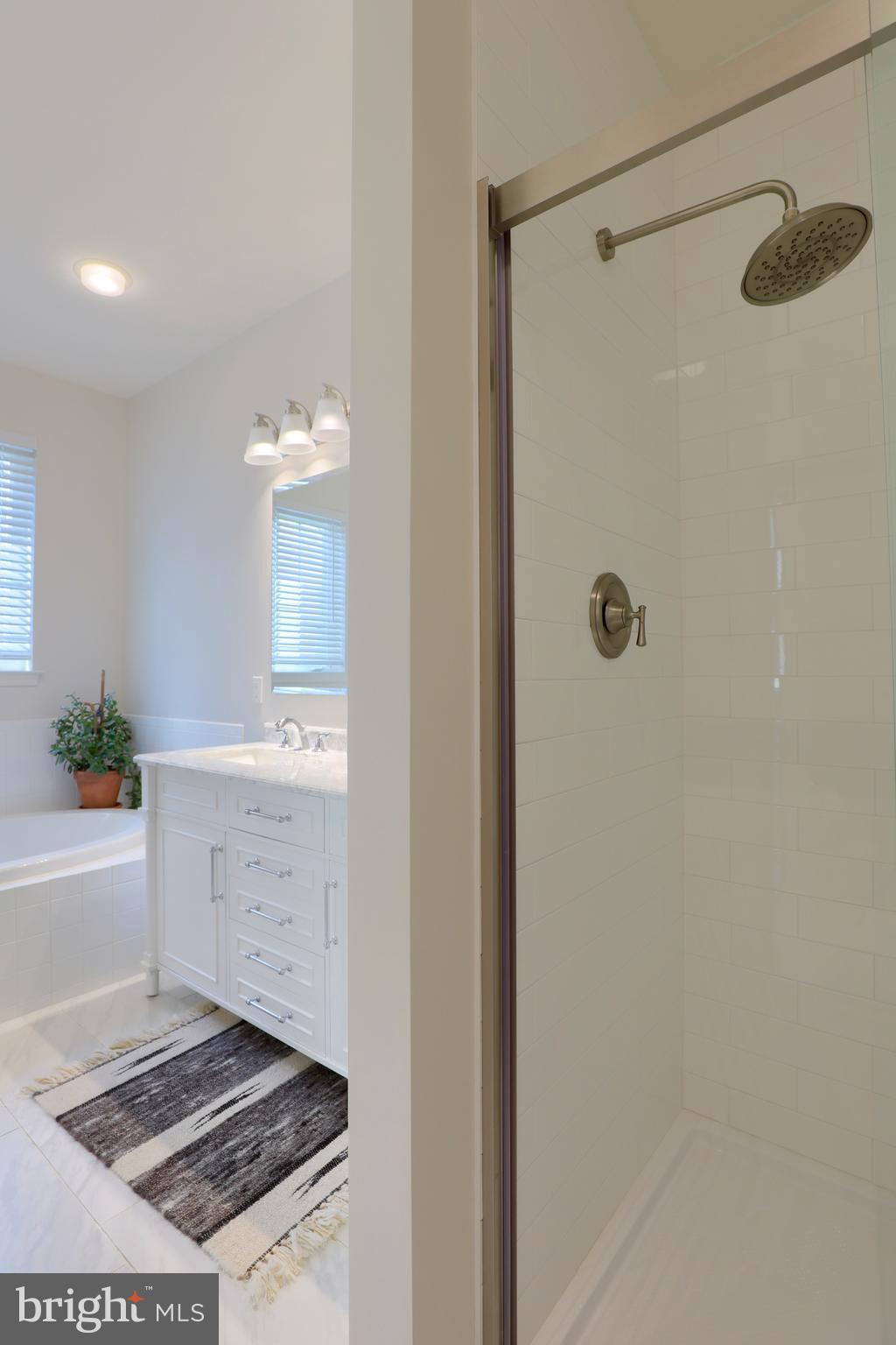 669 Dorset Street Lititz, PA 17543 - Photo 32 of 49 Walk-in Shower in Master Bathroom