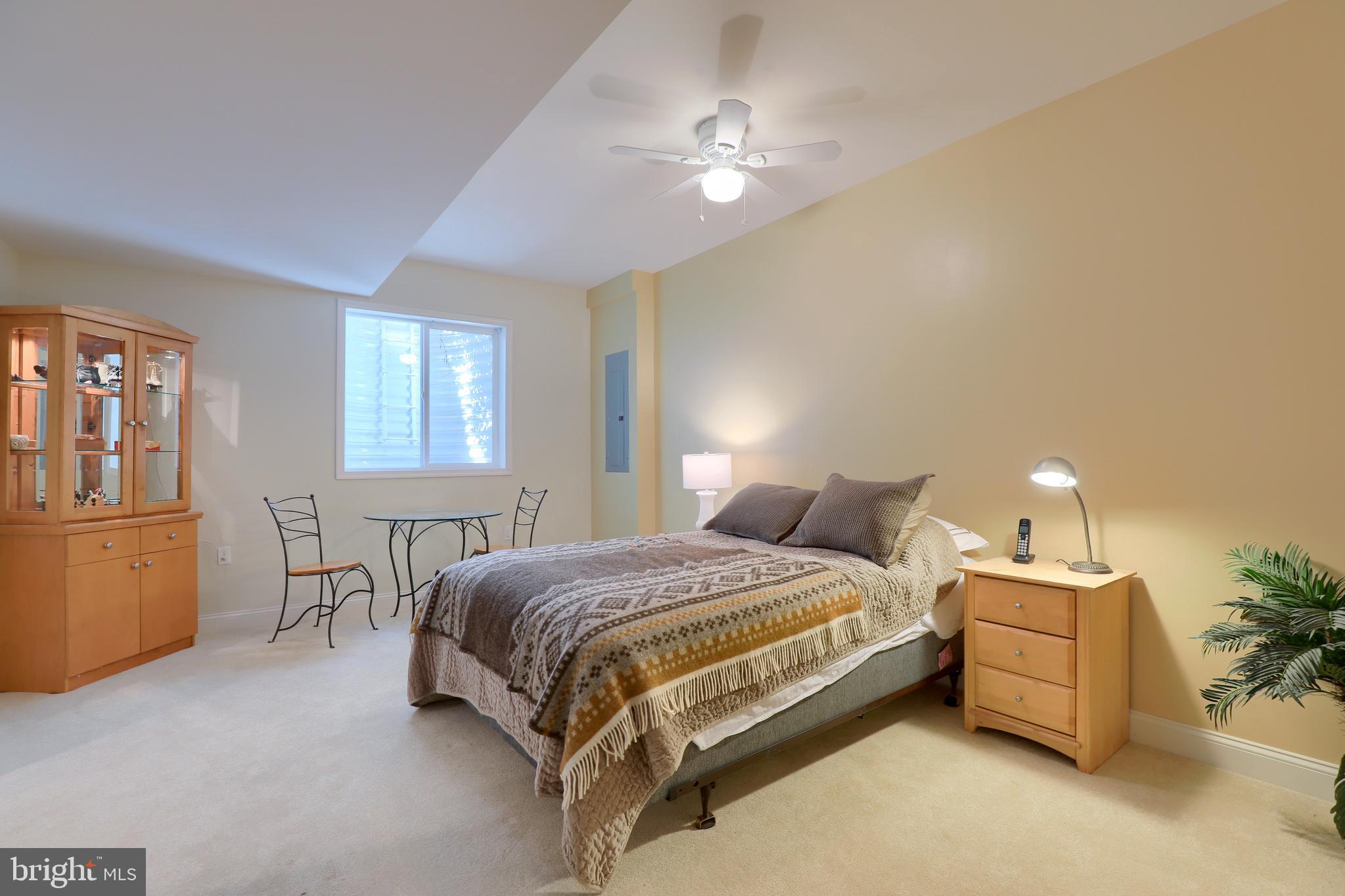 669 Dorset Street Lititz, PA 17543 - Photo 39 of 49 Large Bedroom in Lower Level