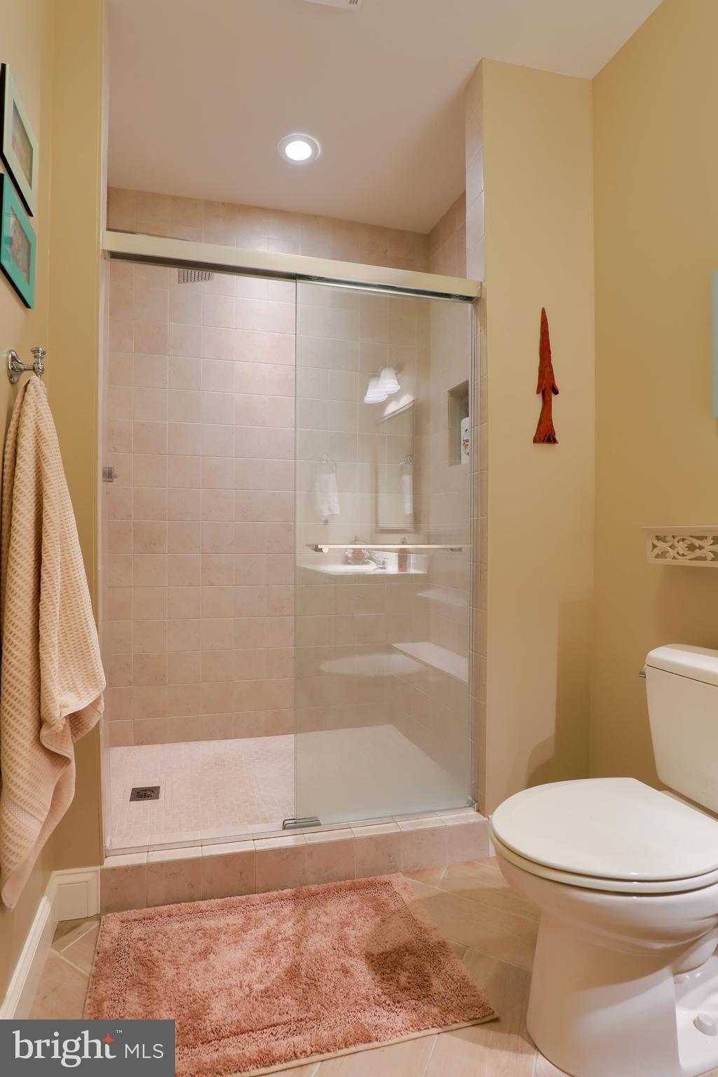 669 Dorset Street Lititz, PA 17543 - Photo 40 of 49 Full Bathroom in Lower Level