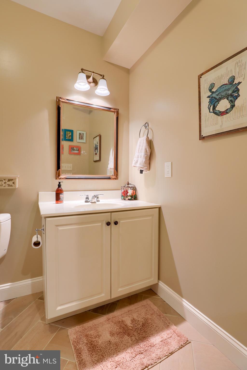 669 Dorset Street Lititz, PA 17543 - Photo 41 of 49 Bathroom in Lower Level