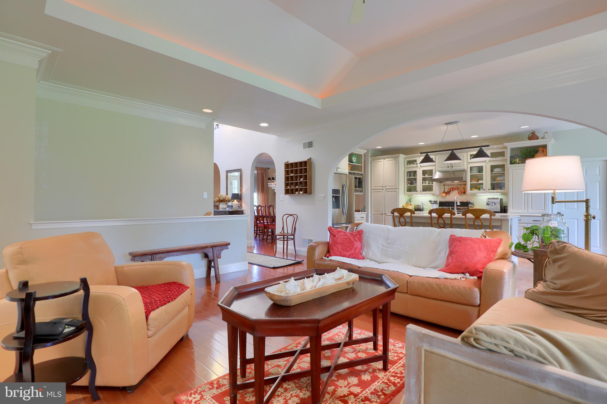 669 Dorset Street Lititz, PA 17543 - Photo 10 of 49 Tray Ceiling and Cove Lighting in Living Room