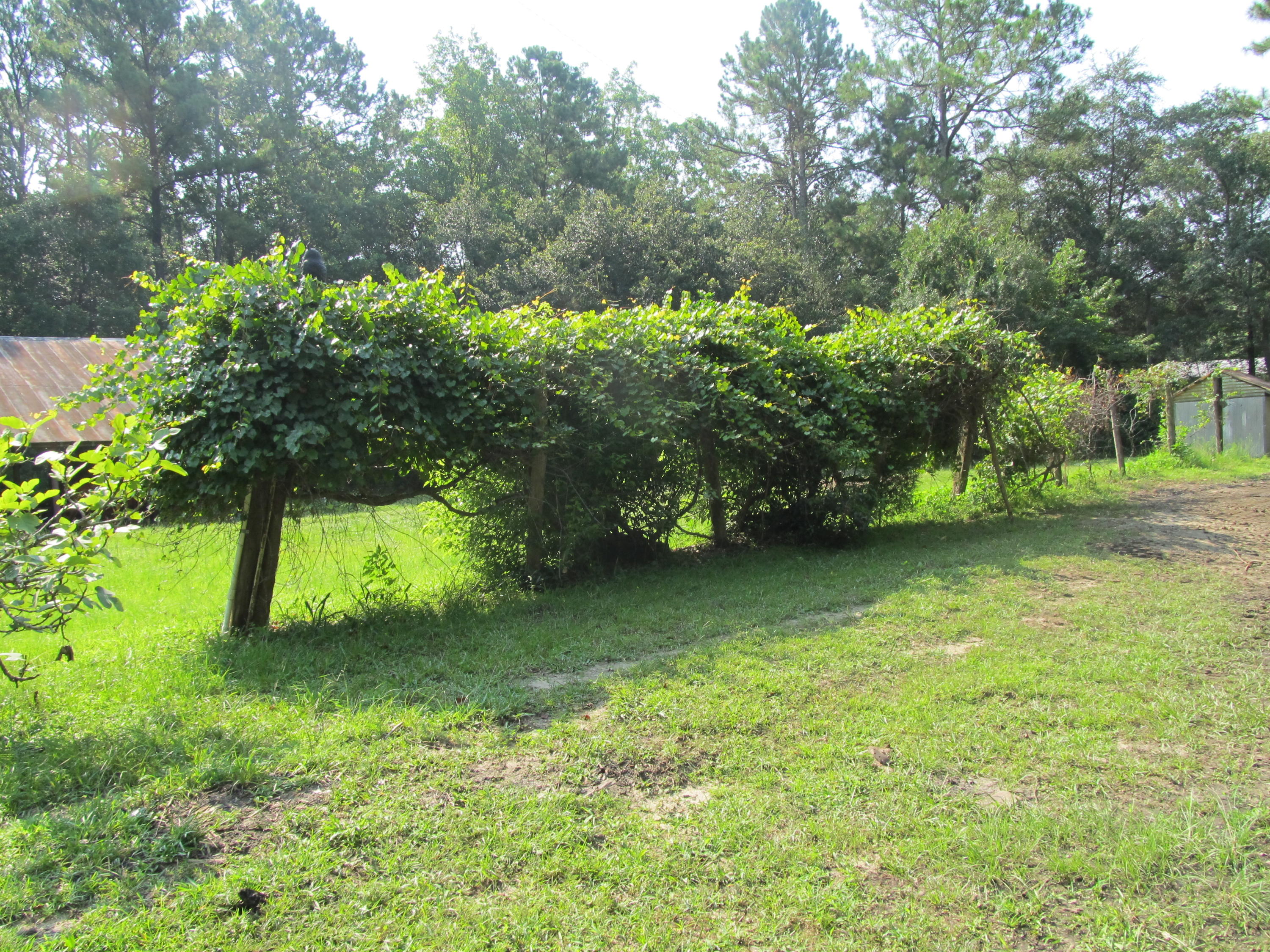 2684 Bob Sikes Road DeFuniak Springs, FL 32435 - Photo 28 of 34 IMG_1914