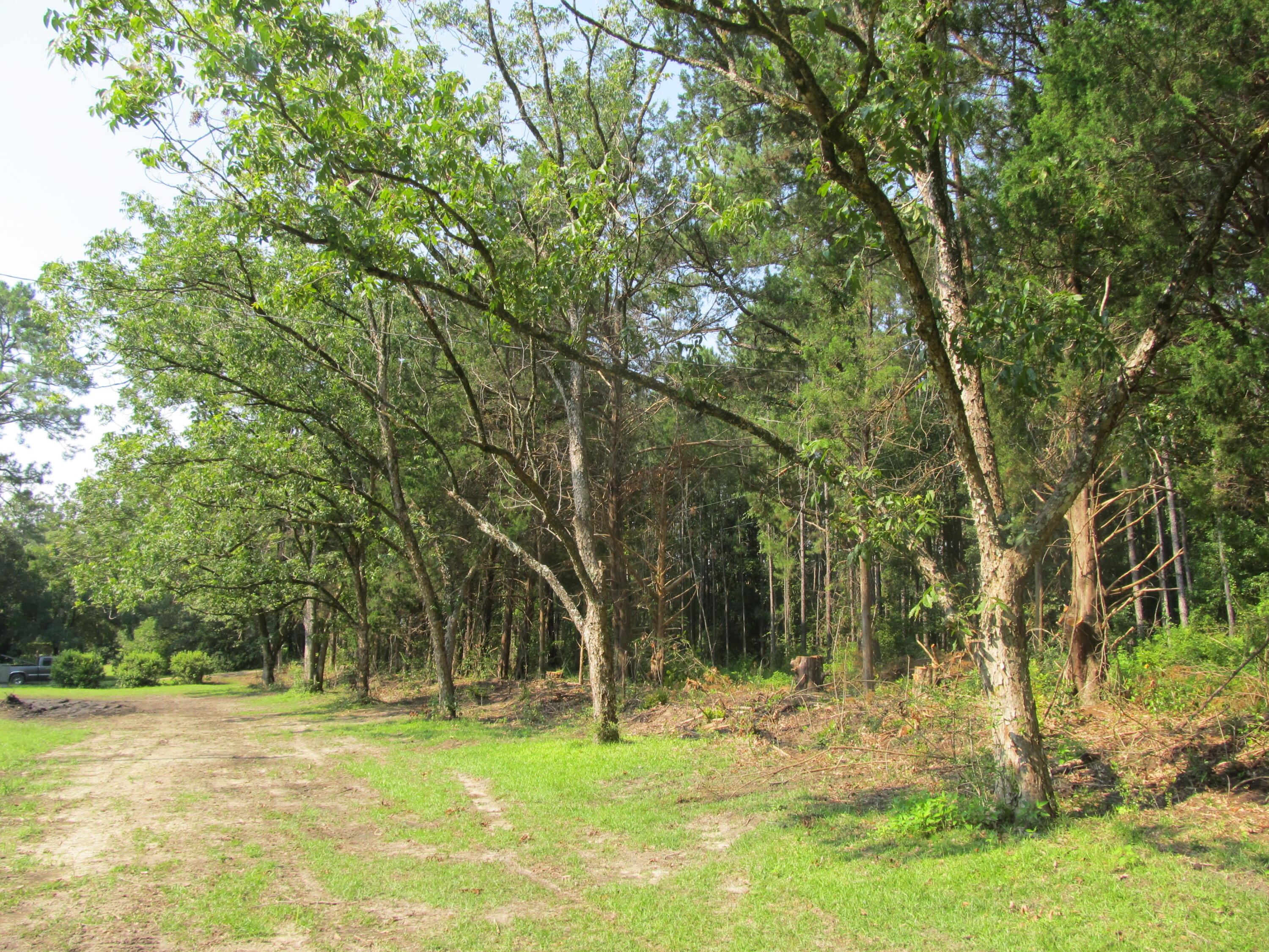 2684 Bob Sikes Road DeFuniak Springs, FL 32435 - Photo 30 of 34 IMG_1912