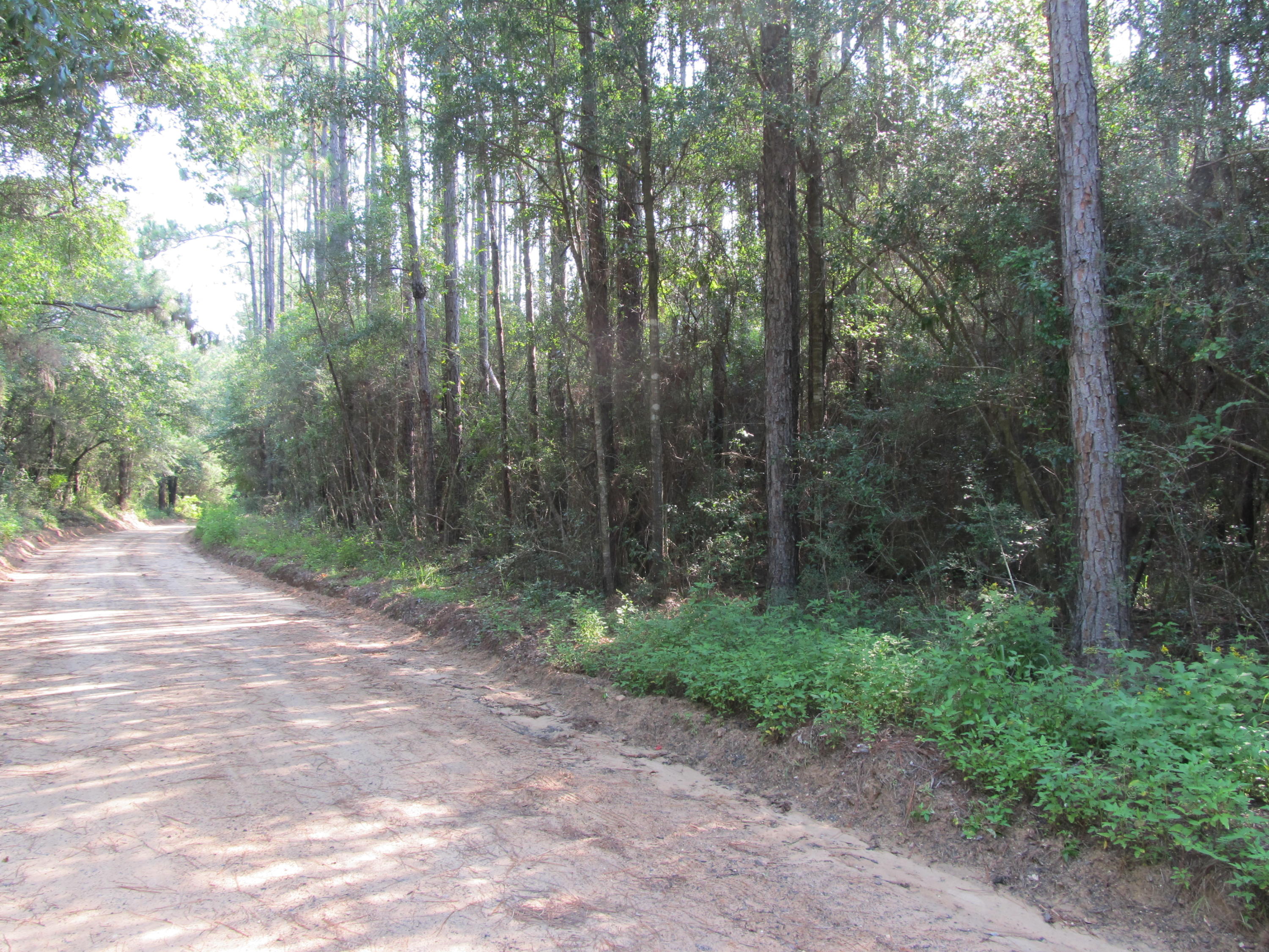 2684 Bob Sikes Road DeFuniak Springs, FL 32435 - Photo 31 of 34 IMG_1910