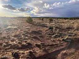 a view of a pathway both side of building