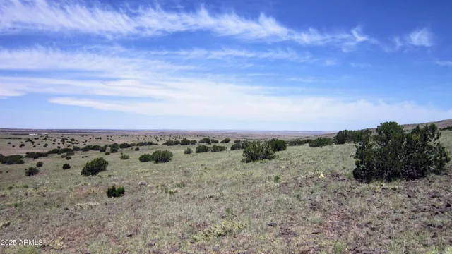 a view of a beach with a mountain in the background