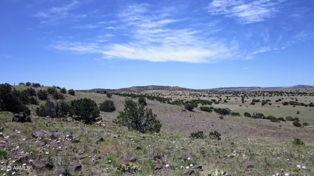 a view of a dry field