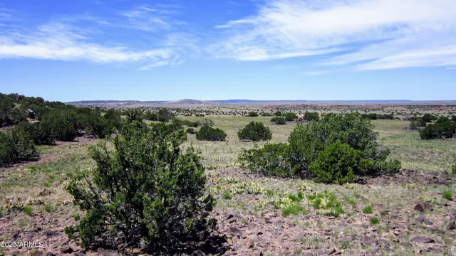 a view of a yard with an outdoor space