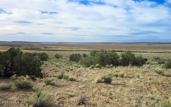 a view of a field with an ocean