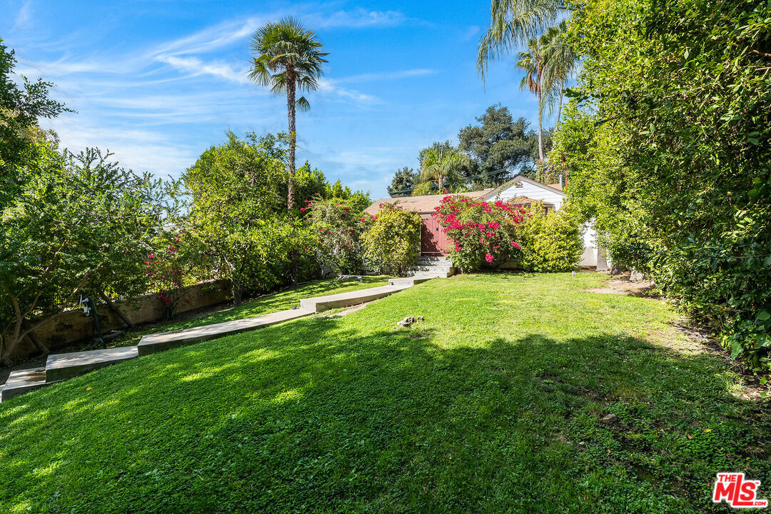 a view of a yard with a fountain