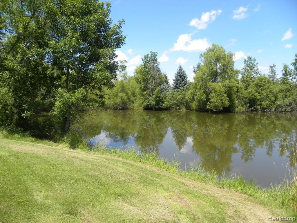 15637 Nettney Road Capac, MI 48014 - Photo 51 of 64 DSCN7690 - Copy.jpg
