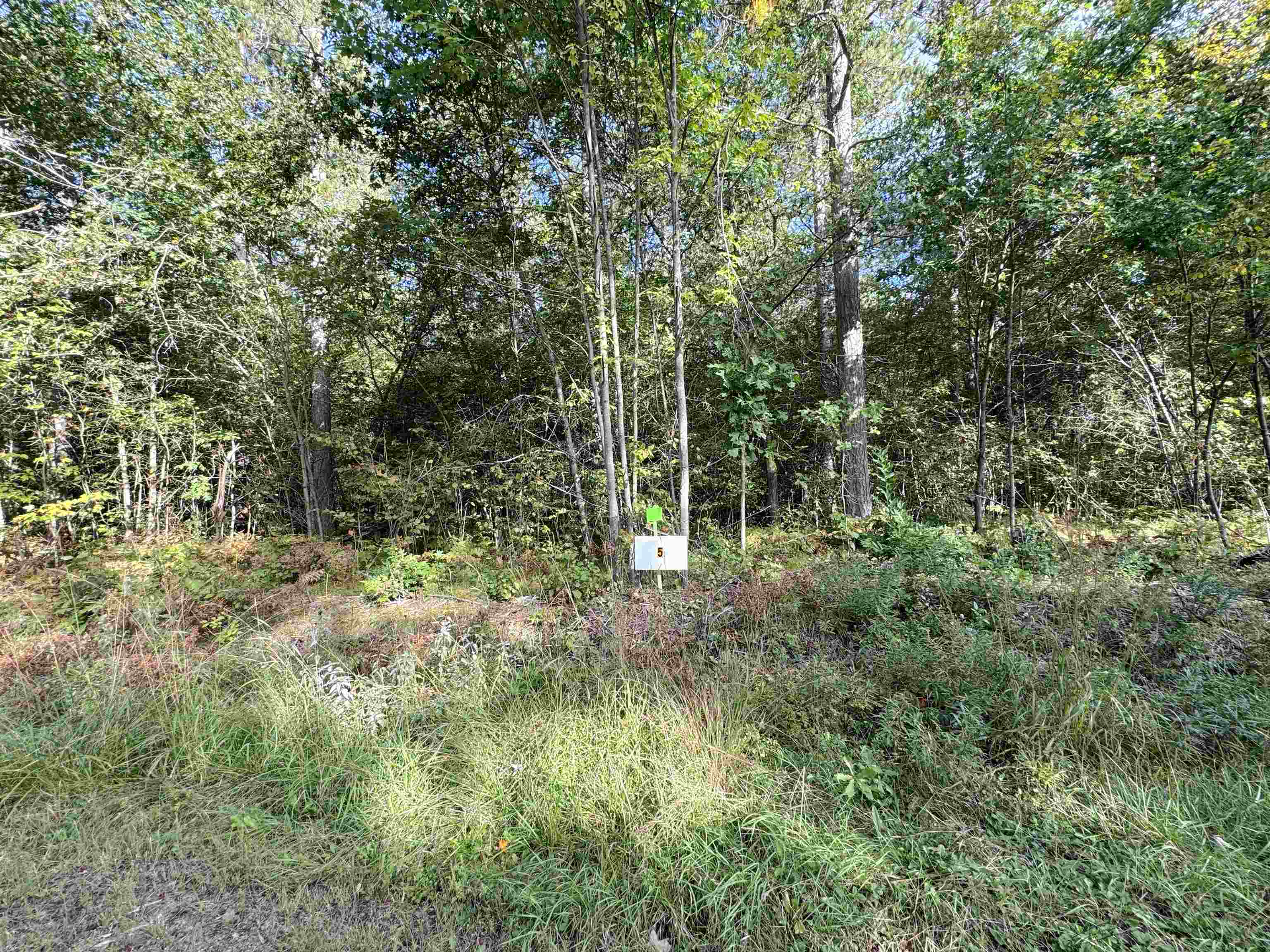 Lot 5 Scout Road Mosinee, WI 54455 - Photo 3 of 9 Gallery Image 3