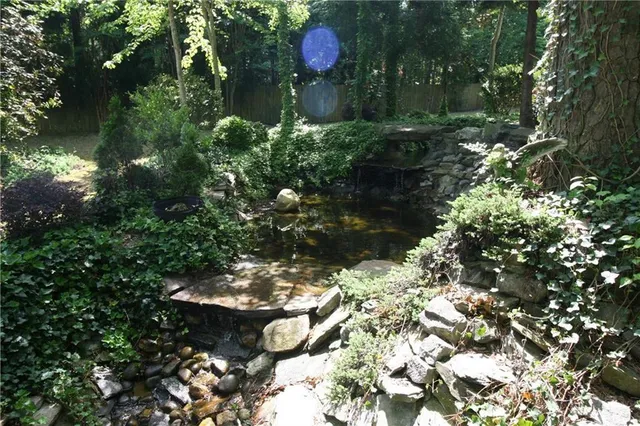 a view of a bunch of flowers and trees