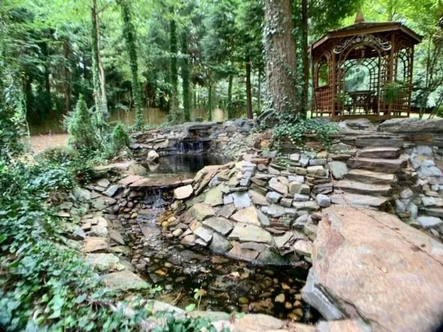 a view of a garden with a bench and trees in the background