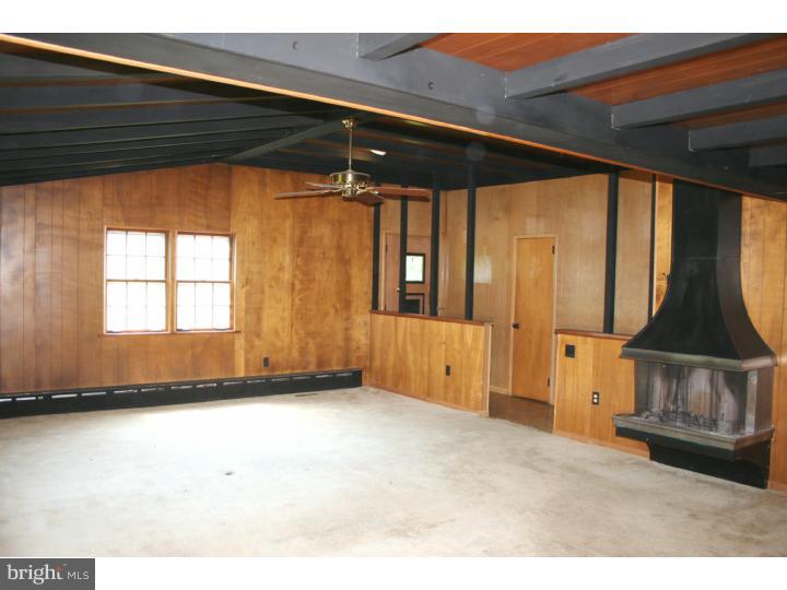 1146 Bodine Road Chester Springs, PA 19425 - Photo 21 of 25 Fireplace