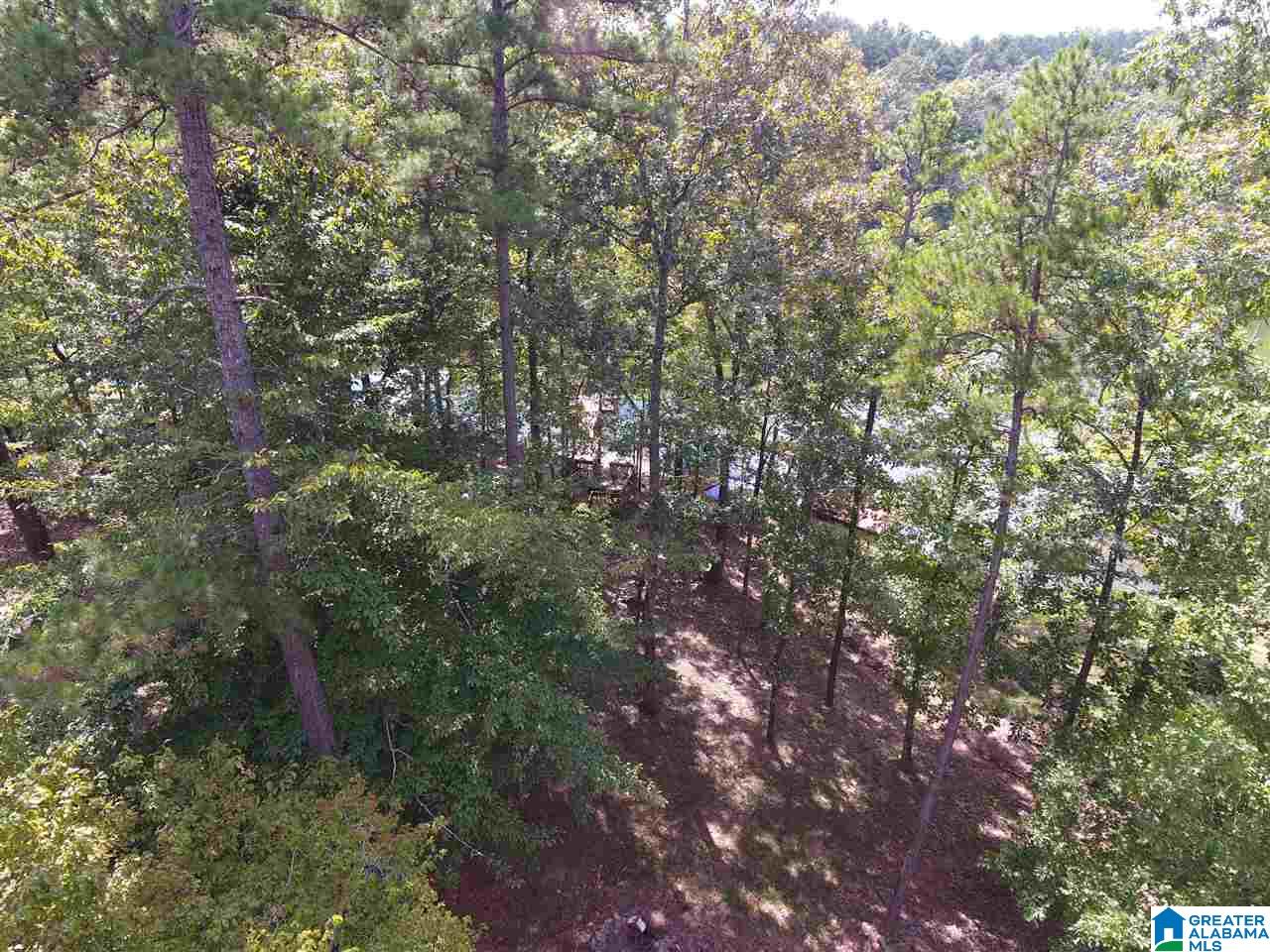100 Fox Run Lineville, AL 36266 - Photo 22 of 30