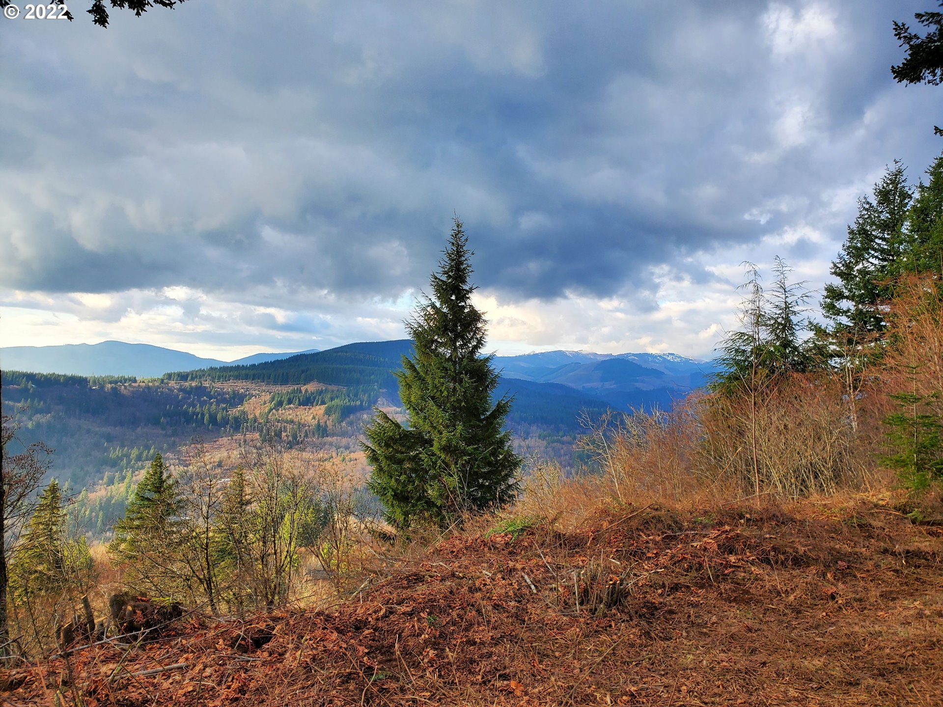 2003 Mabee Mines Road Washougal, WA 98671 - Photo 6 of 15 Gallery Image 6