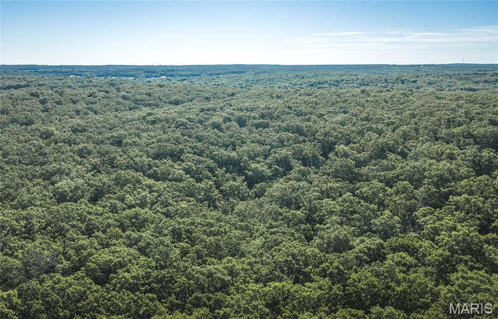 9.93-acres State Rte B St. James, MO 65559 - Photo 8 of 17