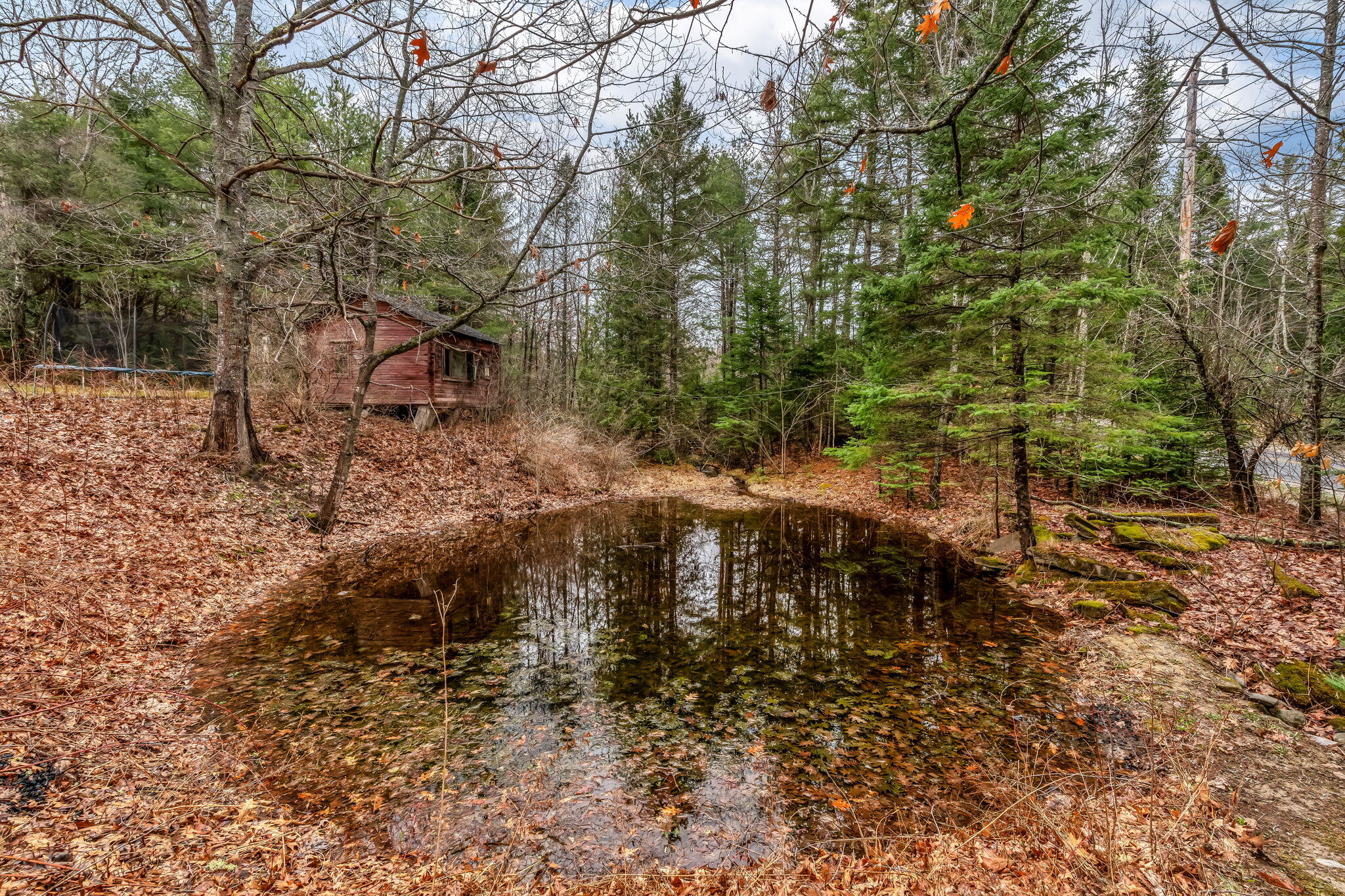 98 Hog Bay Road Franklin, ME 04634 - Photo 64 of 80 40-web-or-mls-98-hog-bay-rd