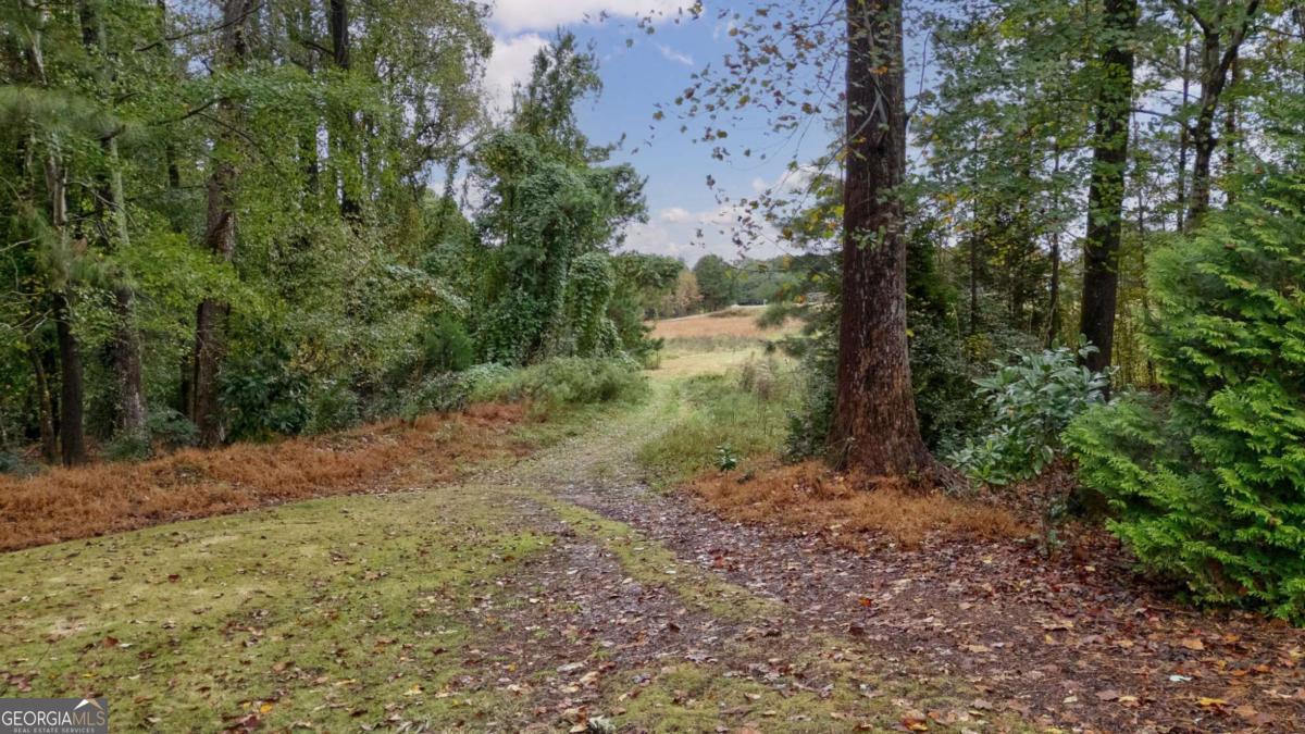 6 Oak Grove Road Athens, GA 30607 - Photo 58 of 62