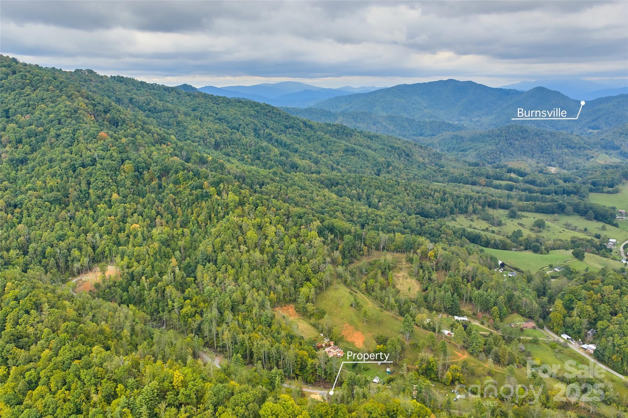 237 Hickory Nut Ridge Road, Unit 10 Burnsville, NC 28714 - Photo 39 of 42 a view of a lush green hillside and a houses