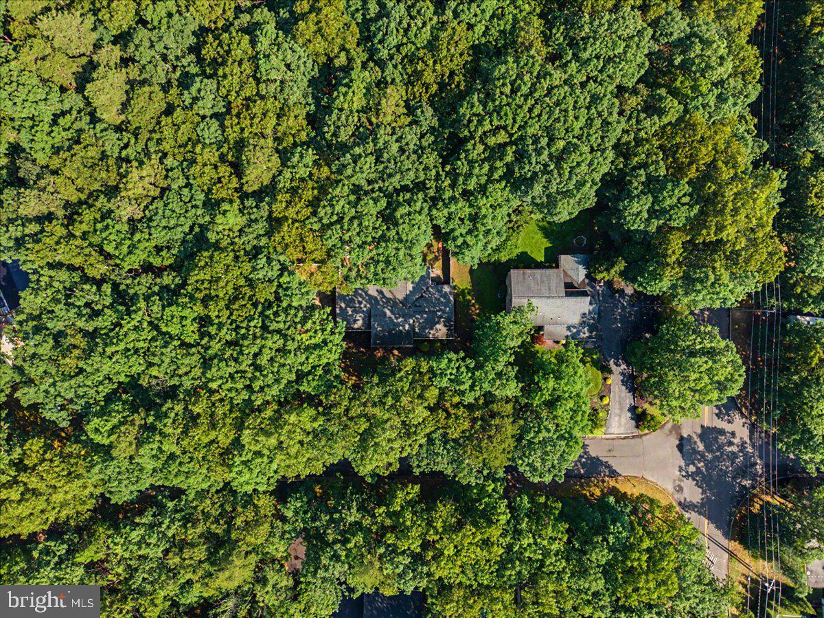 3 Blueberry Road Shamong, NJ 08088 - Photo 35 of 46