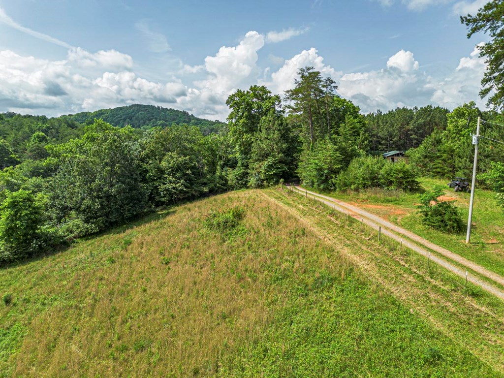 541 Pleasant Hill Road Copperhill, TN 37317 - Photo 6 of 20