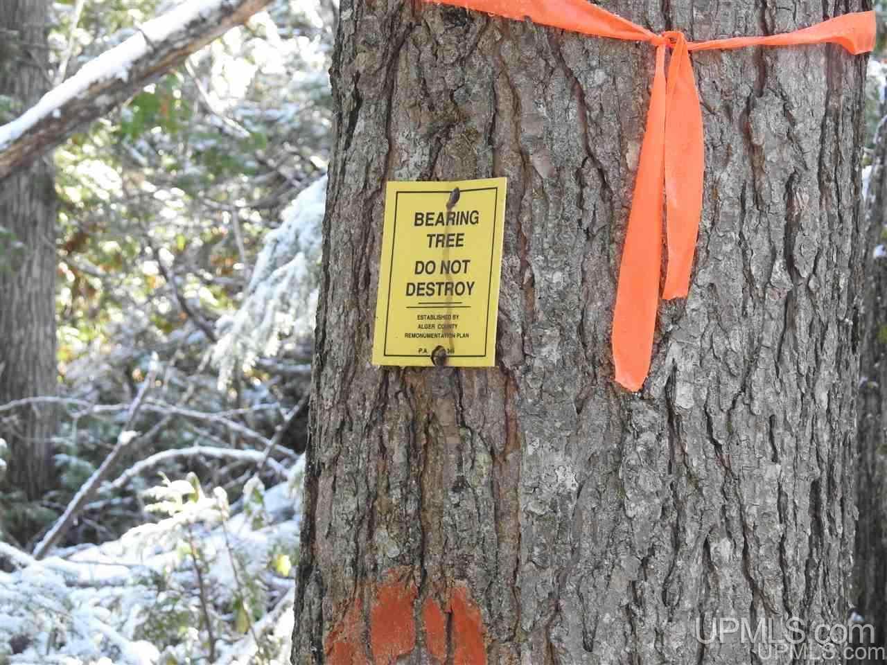 Tbd East H-58 Road Grand Marais, MI 49839 - Photo 12 of 18 Gallery Image 12