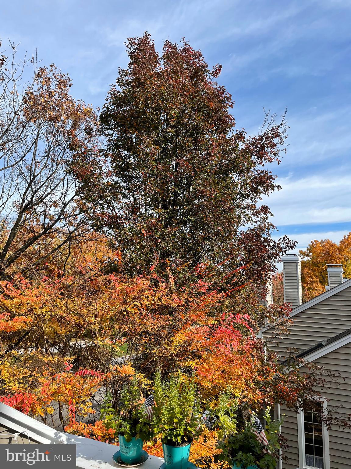 10 Cabot Drive Chesterbrook, PA 19087 - Photo 25 of 26