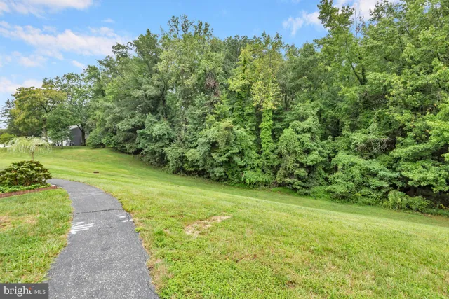 a view of a trees with a yard