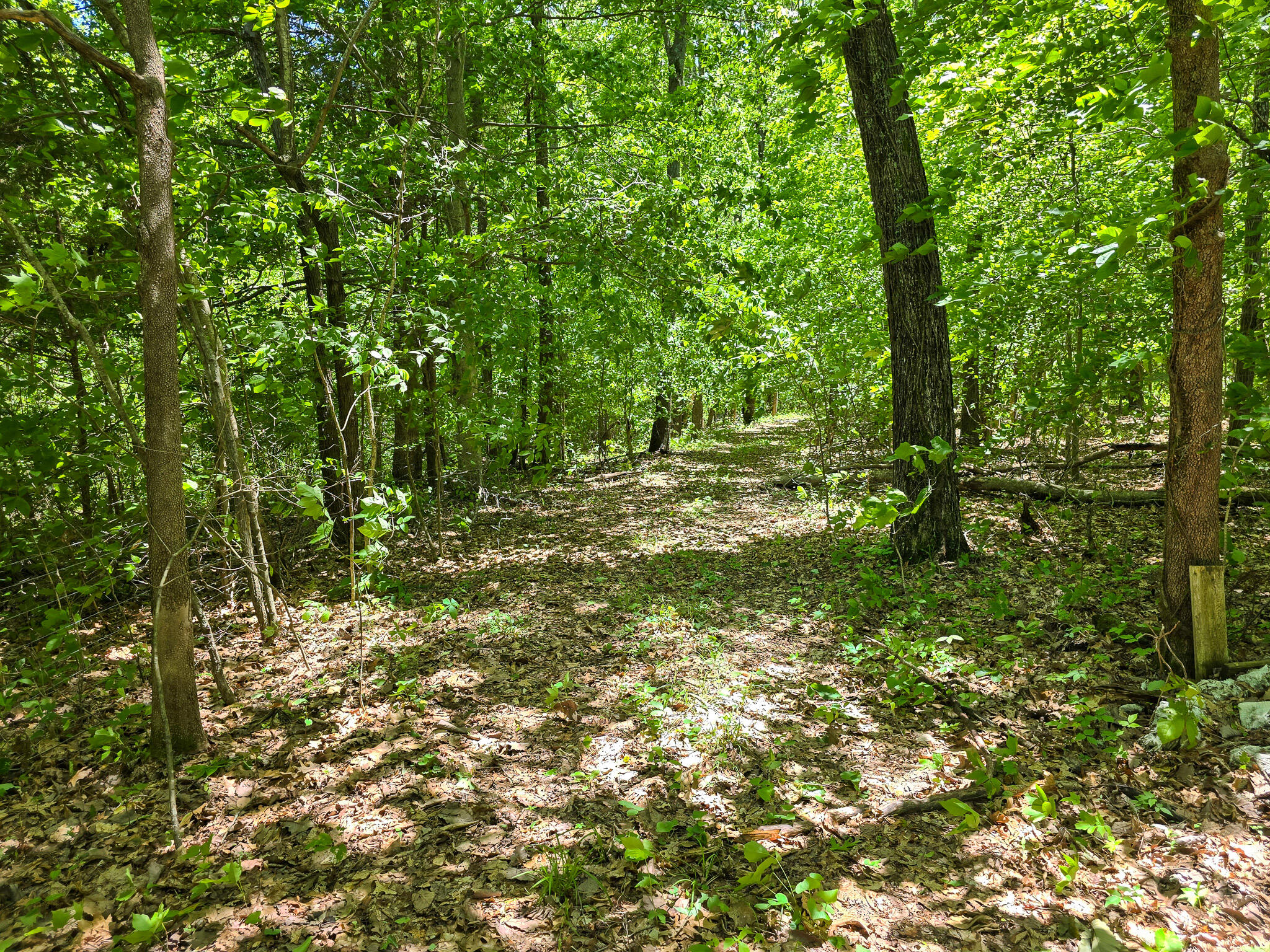 9999 Walter Huff Road Liberty, KY 42539 - Photo 14 of 42 20250517_134812