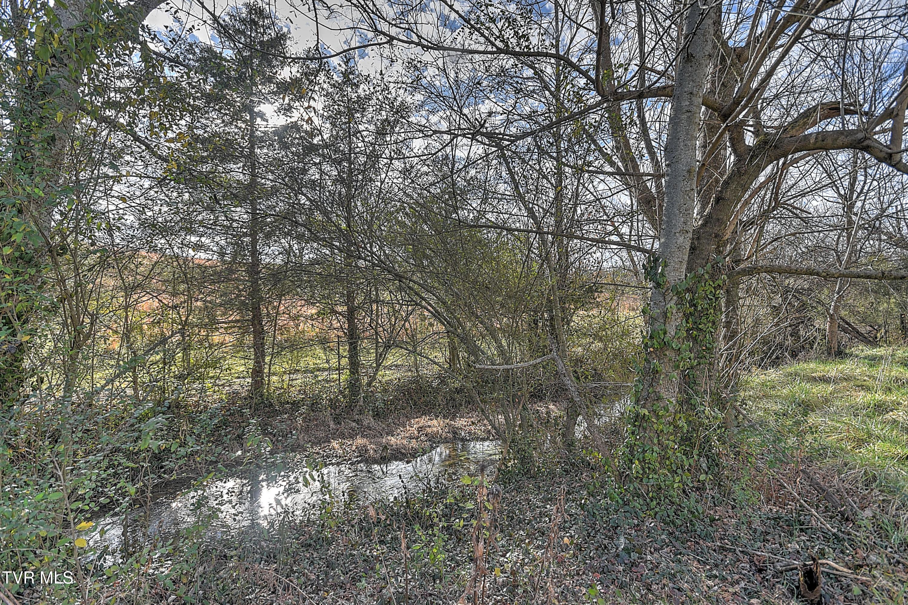 4315 Warrensburg Road Greeneville, TN 37743 - Photo 56 of 67 56