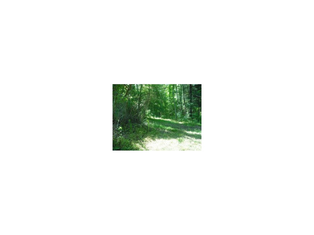 521-525 Offield Hollow Road Bristol, TN 37620 - Photo 1 of 5 Photo 1
