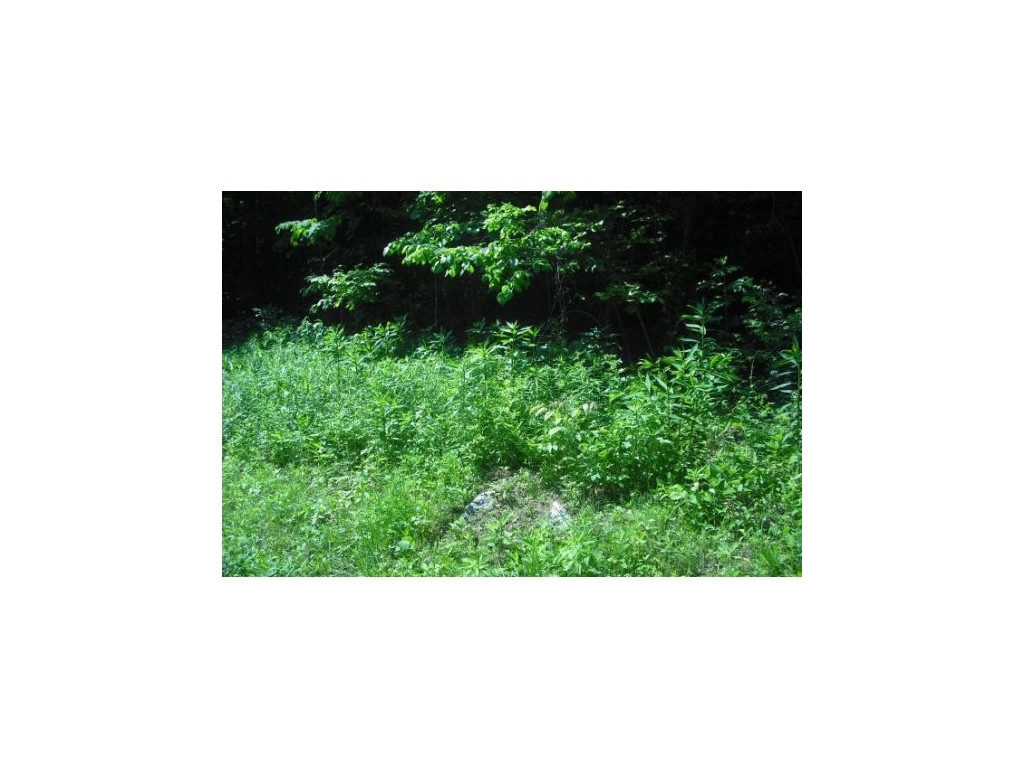 521-525 Offield Hollow Road Bristol, TN 37620 - Photo 3 of 5 Photo 3