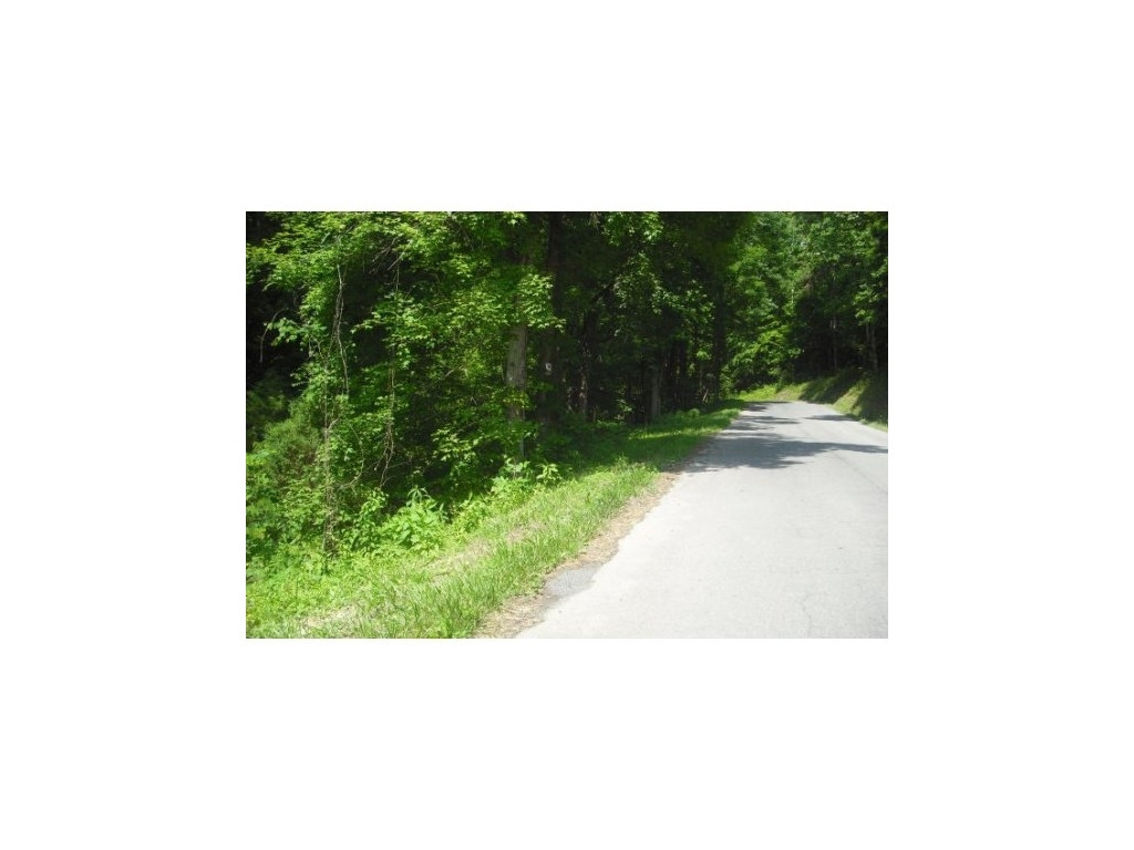 521-525 Offield Hollow Road Bristol, TN 37620 - Photo 4 of 5 Photo 4