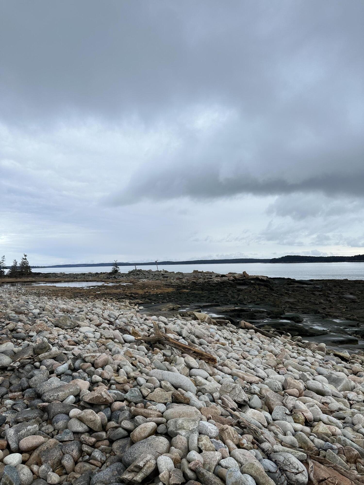63 Bear Cove Road Milbridge, ME 04658 - Photo 9 of 53 IMG_9524